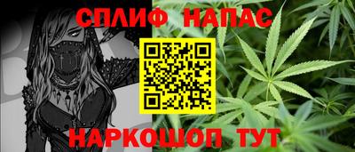 прущие грибы Будённовск